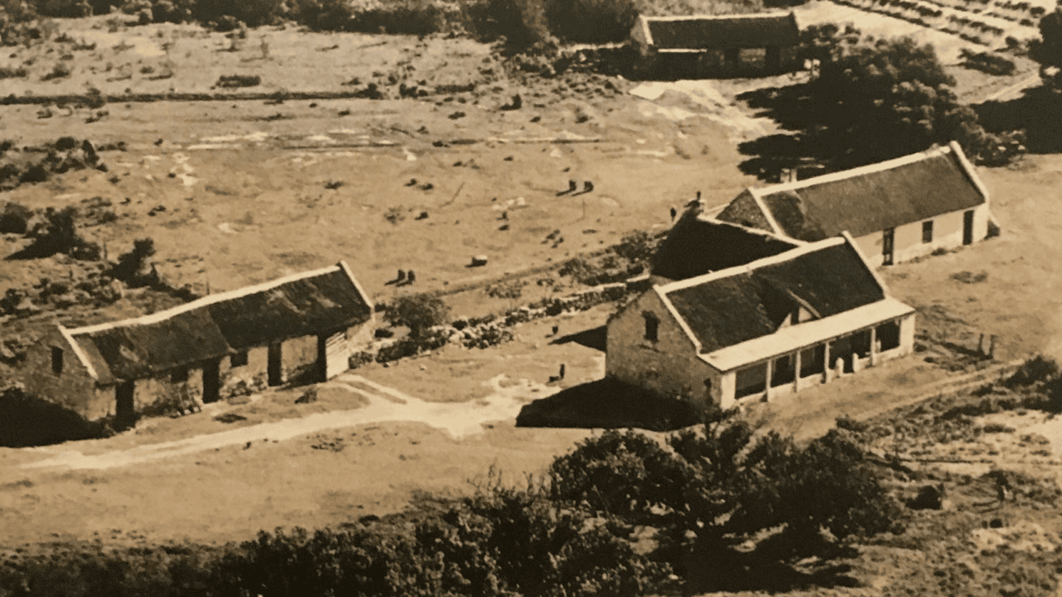 springfontein old main building, historic photo